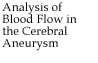 Analysis of Blood Flow in the Cerebral Aneurysm 