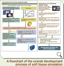 A flowchart of the overall development process of soft tissue simulation